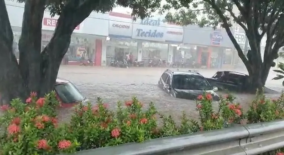 chuva-gaurara.jpg