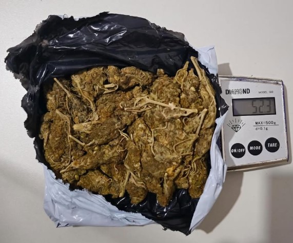 Maconha enviada pelos Correios.jpg