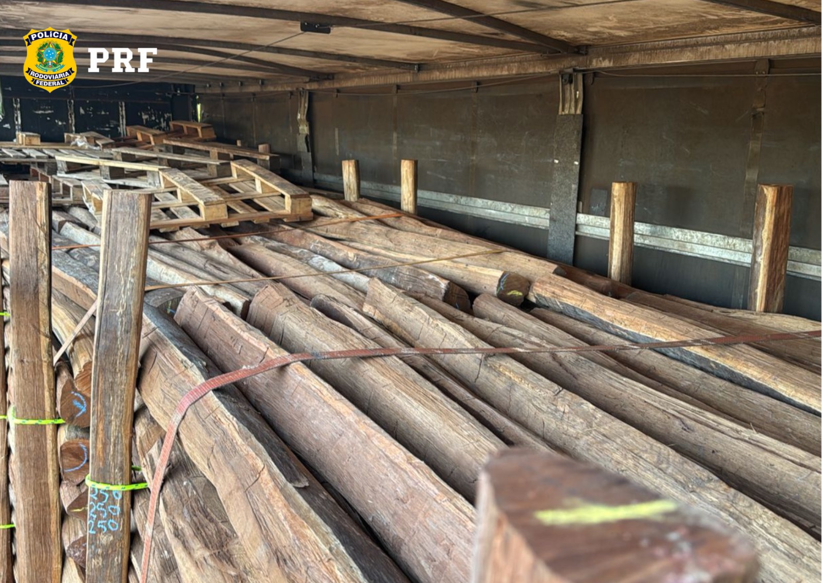 Imagem do WhatsApp de 2025-10-24 à(s) 10.23.28_dfd7c9fc.jpg